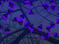 Haunted Night Halloween Screensaver screenshot